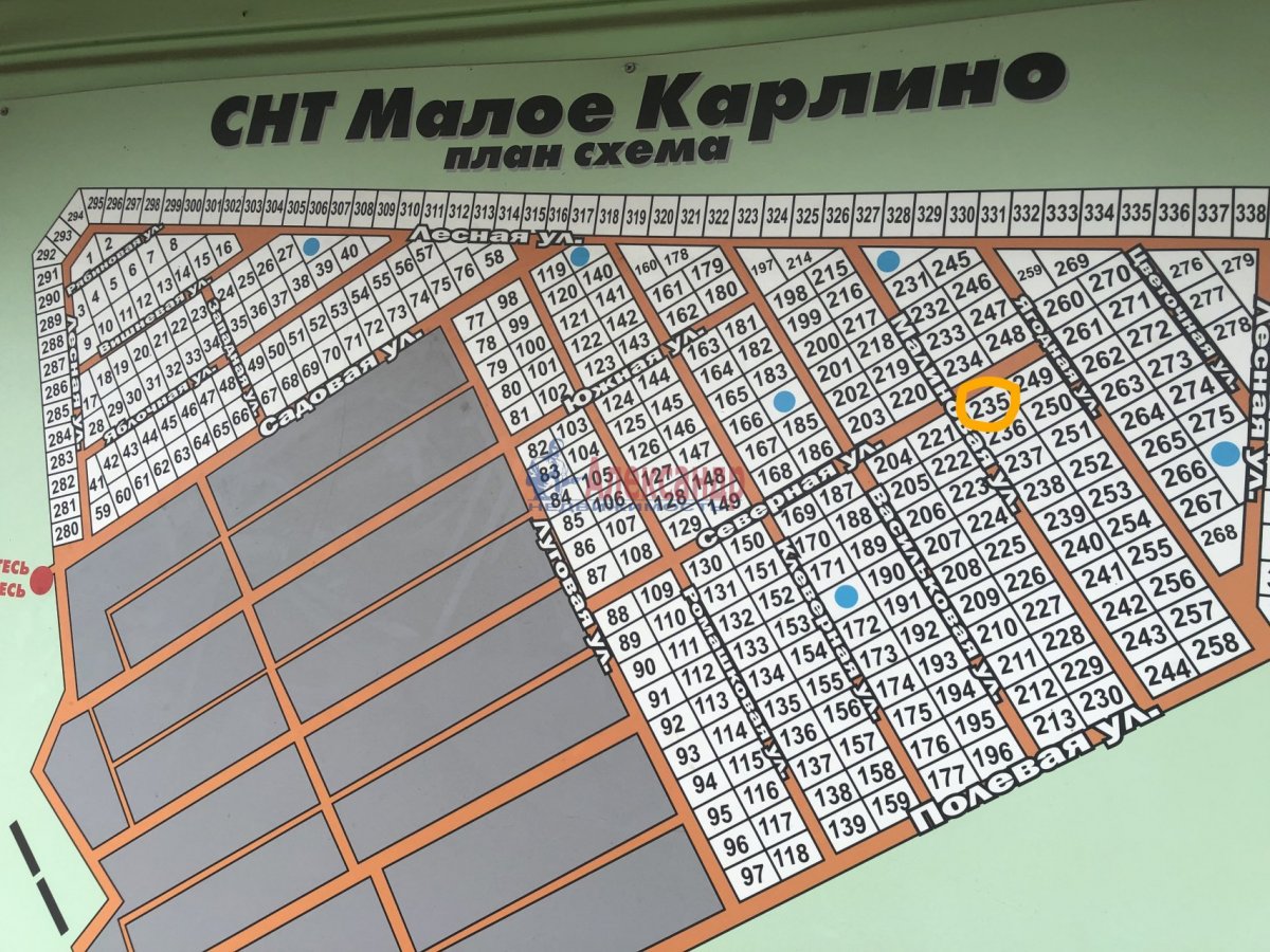 Ломоносовский Район Малое Карлино Проститутка