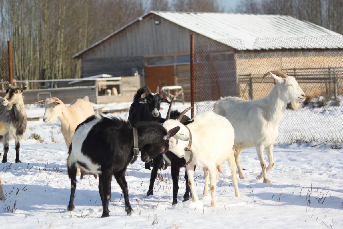 Продажа коммерческой недвижимости, 90м <sup>2</sup>, Бараново, Бараново дер.