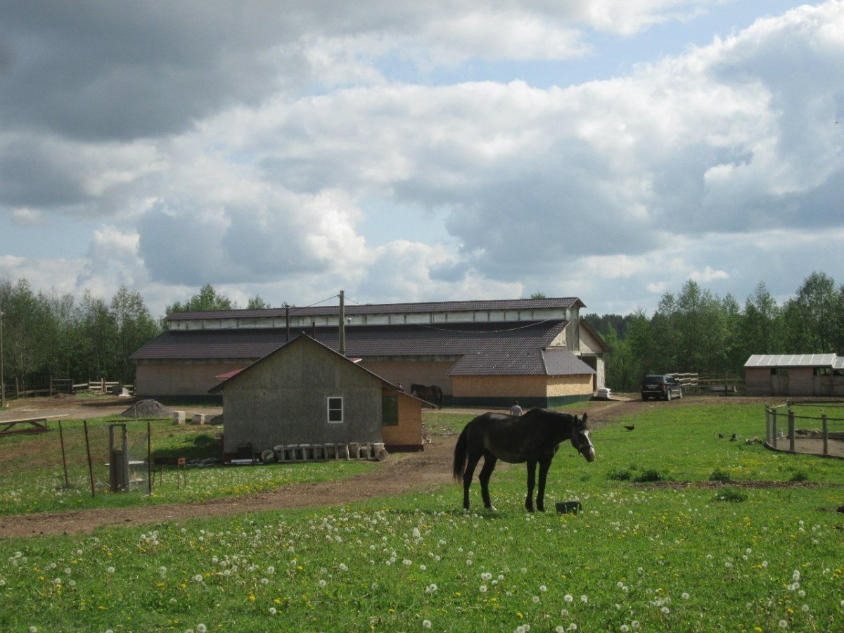 Продажа коммерческой недвижимости, 90м <sup>2</sup>, Бараново, Бараново дер.