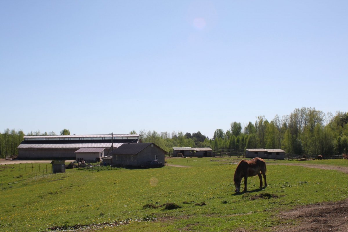 Продажа коммерческой недвижимости, 90м <sup>2</sup>, Бараново, Бараново дер.