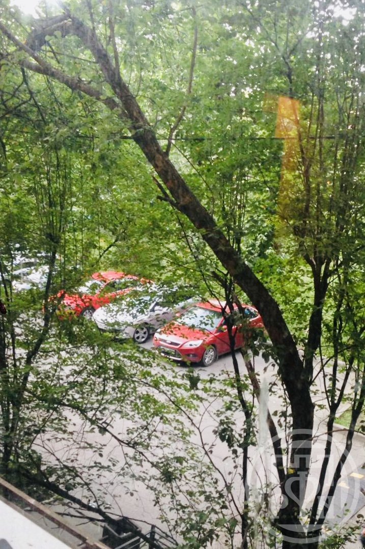 Дачный просп., д 3, корпус 5 Дачный просп., д 3, корпус 5