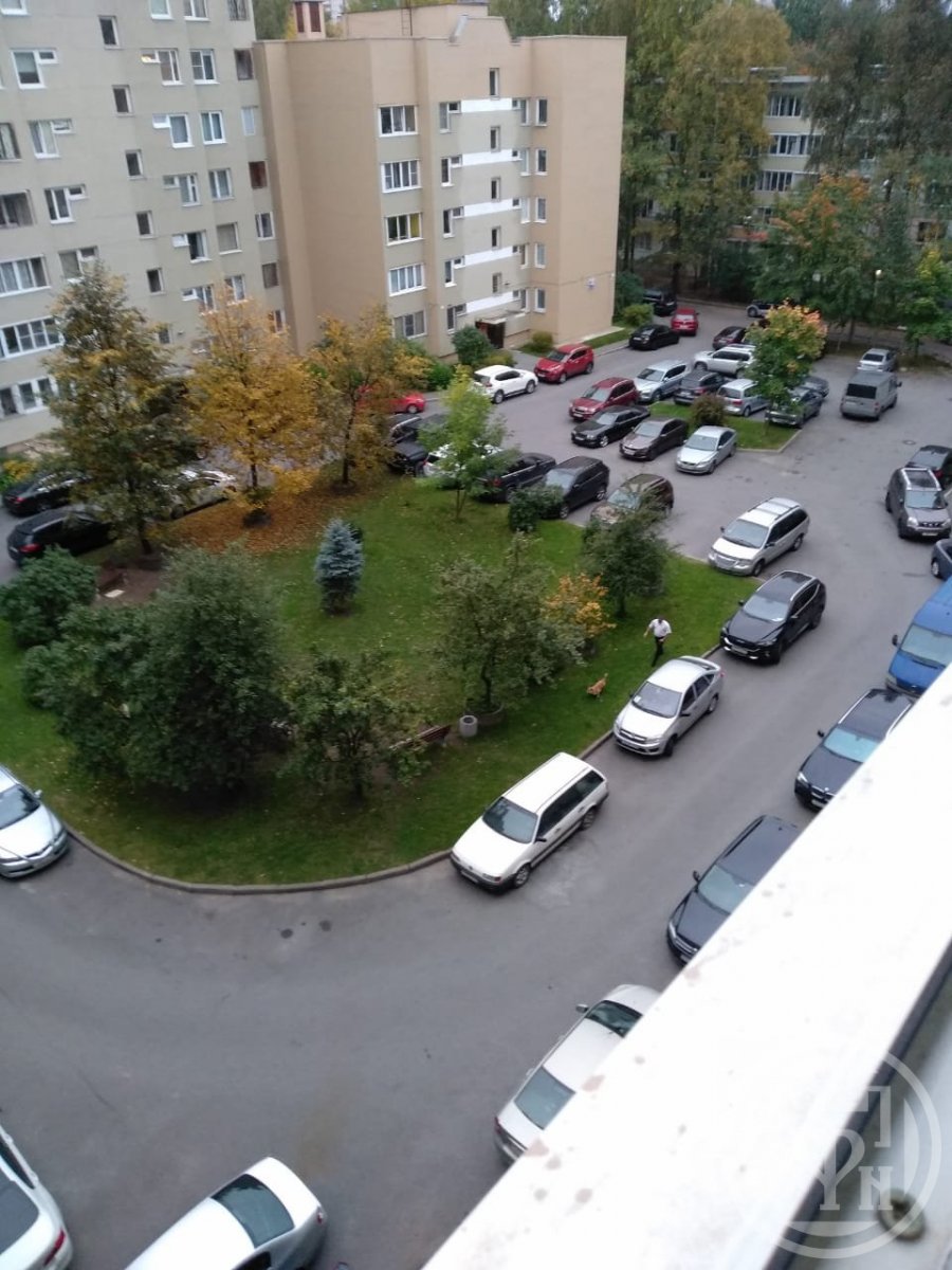 Светлановский просп., д 107, корпус 2 Светлановский просп., д 107, корпус 2