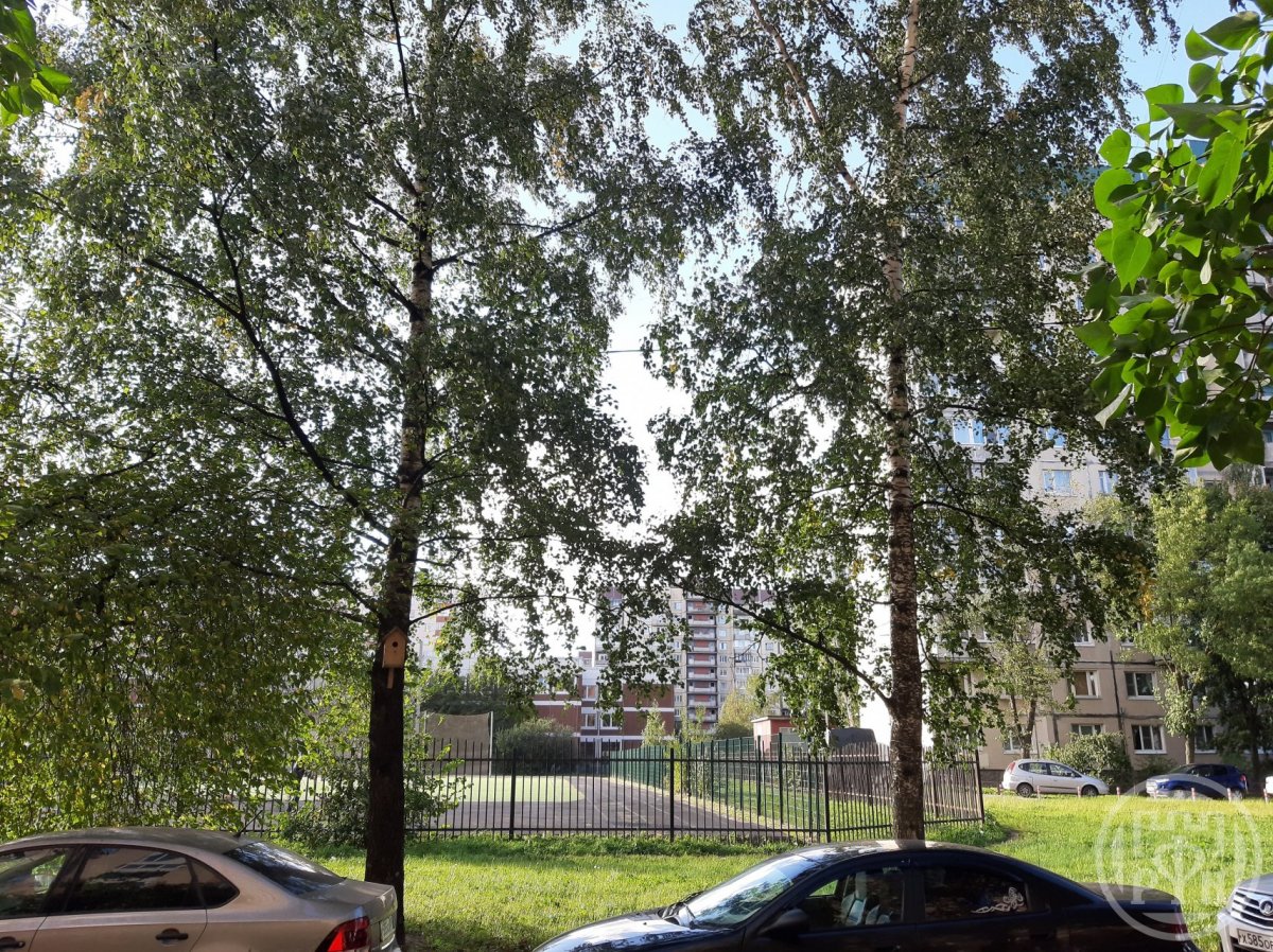 Маршала Жукова просп., д 33, корпус 1 Маршала Жукова просп., д 33, корпус 1