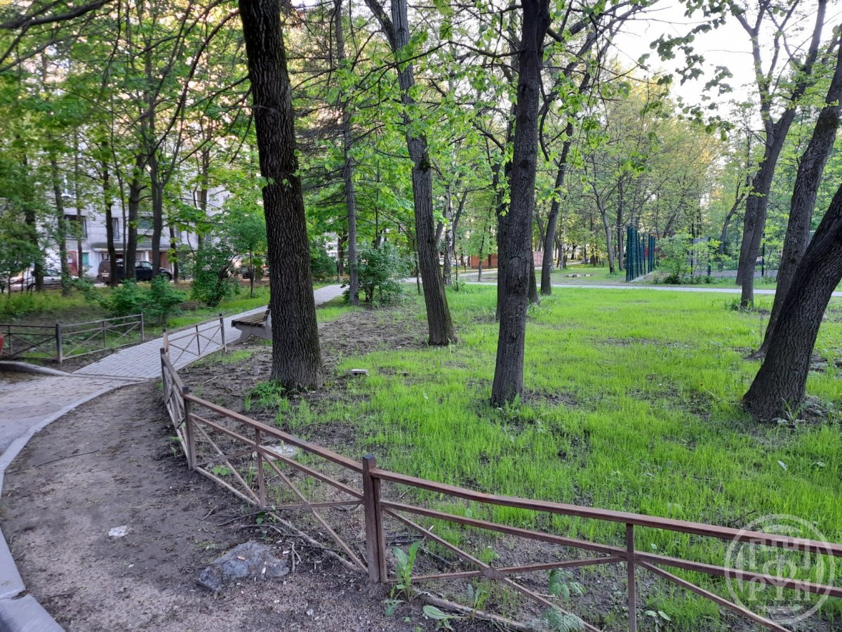 Народного Ополчения просп., д 1, лит. А Народного Ополчения просп., д 1, лит. А
