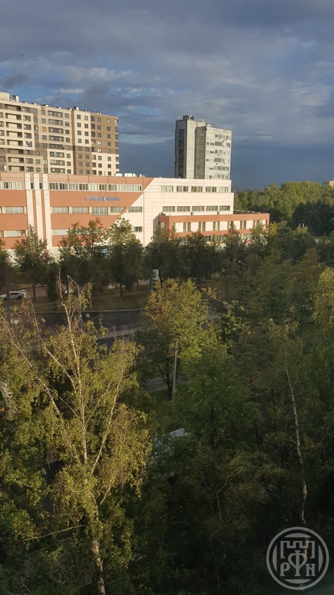 Пискаревский просп., д 24, лит. а Пискаревский просп., д 24, лит. а