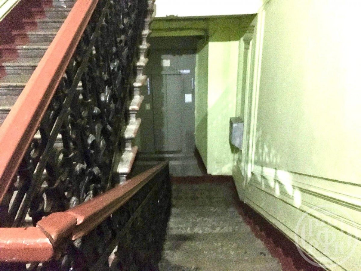 Большой П.С. просп., д 16/1 Большой П.С. просп., д 16/1