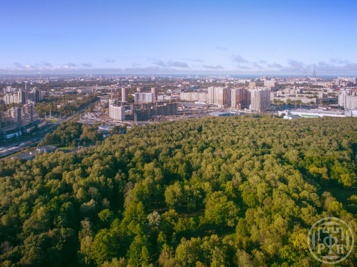 Коломяжский просп., д 5, корпус 3 Коломяжский просп., д 5, корпус 3
