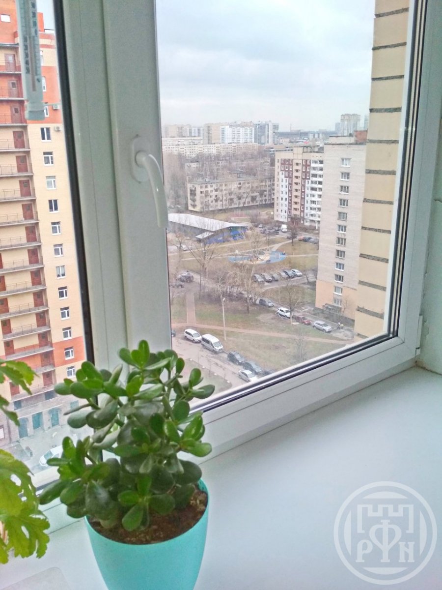 Продажа 1-комнатной квартиры, Санкт-Петербург, Бухарестская ул., д 80 Продажа 1-комнатной квартиры, Санкт-Петербург, Бухарестская ул., д 80