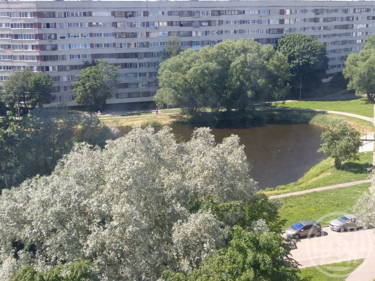 Пионерстроя ул., д 21, корпус 1 Пионерстроя ул., д 21, корпус 1