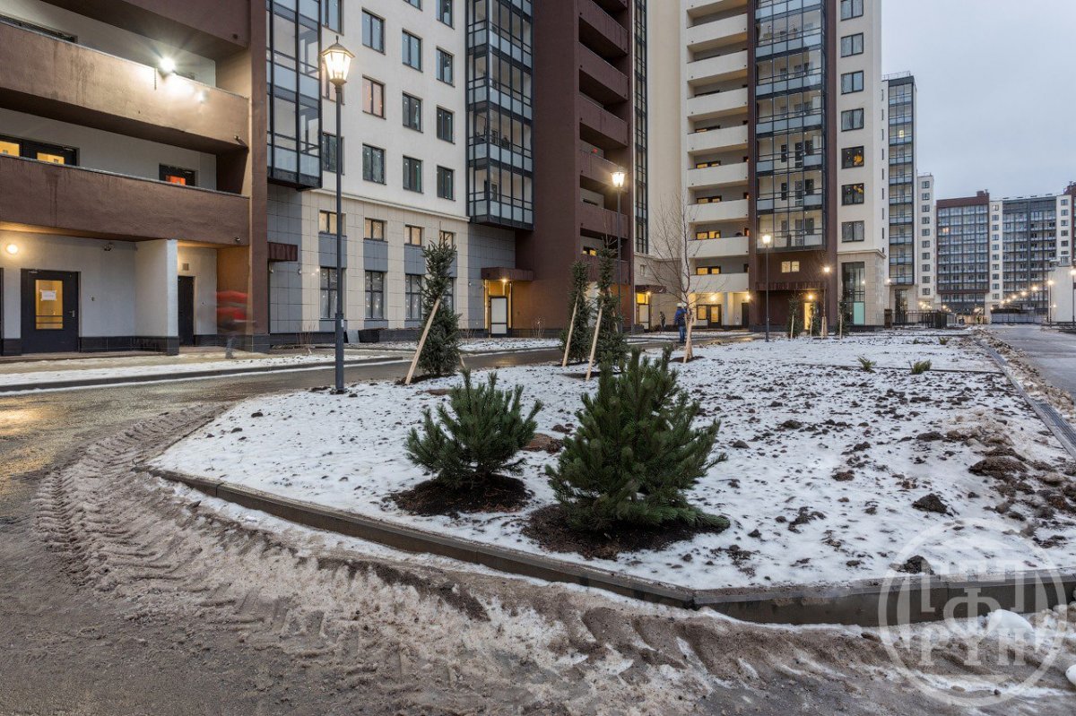 Ветеранов просп., д 173 Ветеранов просп., д 173