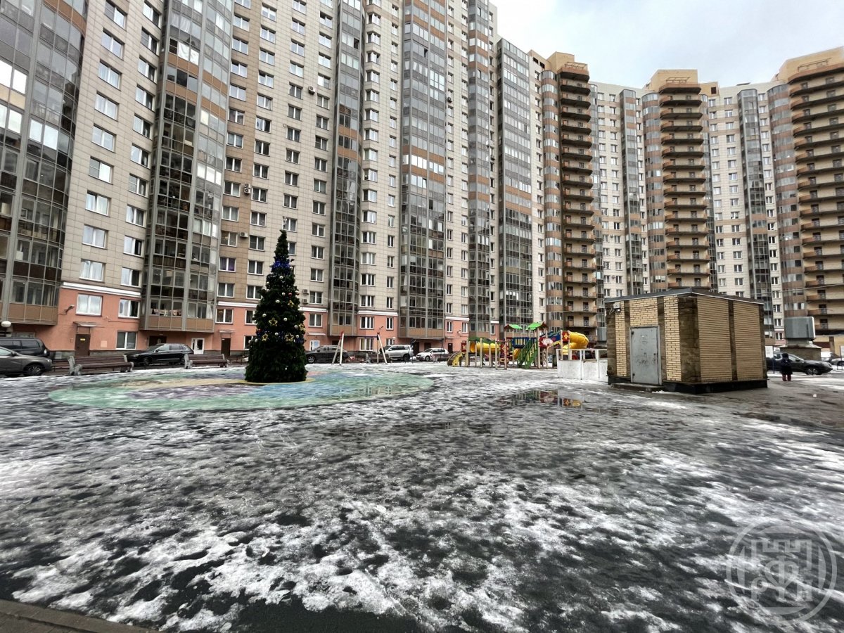 Просвещения просп., д 99, лит. А Просвещения просп., д 99, лит. А