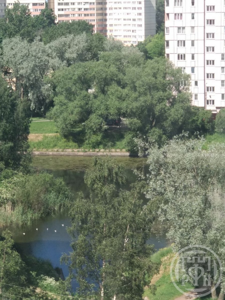 Пионерстроя ул., д 21, корпус 1 Пионерстроя ул., д 21, корпус 1