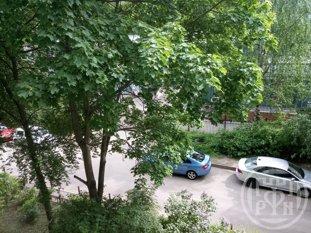 Композиторов ул., д 33/5 Композиторов ул., д 33/5