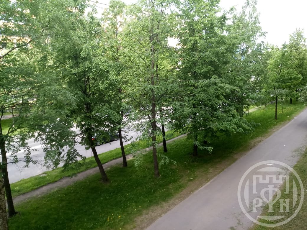 Композиторов ул., д 33/5 Композиторов ул., д 33/5