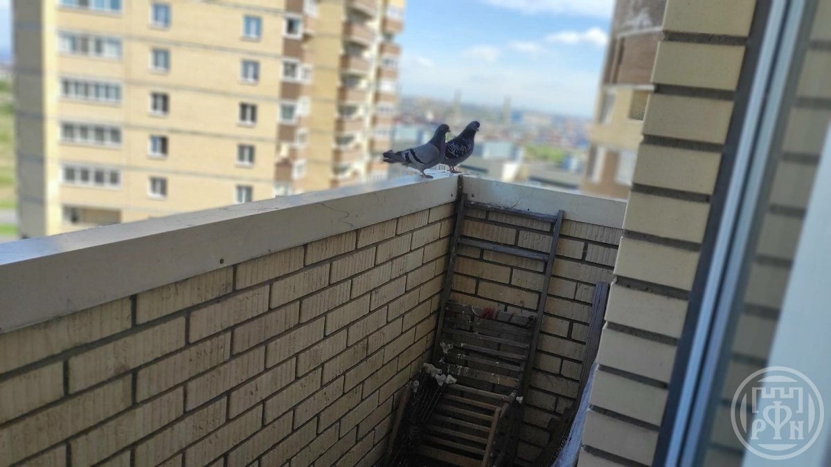 Кузнецова просп., д 14, корпус 1 Кузнецова просп., д 14, корпус 1