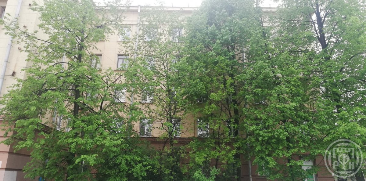 Лесной просп., д 34 Лесной просп., д 34