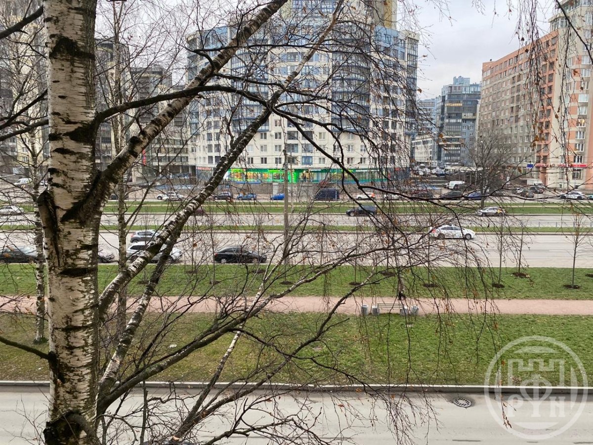 Кораблестроителей ул., д 29, корпус 1 Кораблестроителей ул., д 29, корпус 1