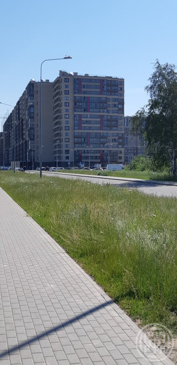 Пулковское шос., д 30, лит. в Пулковское шос., д 30, лит. в