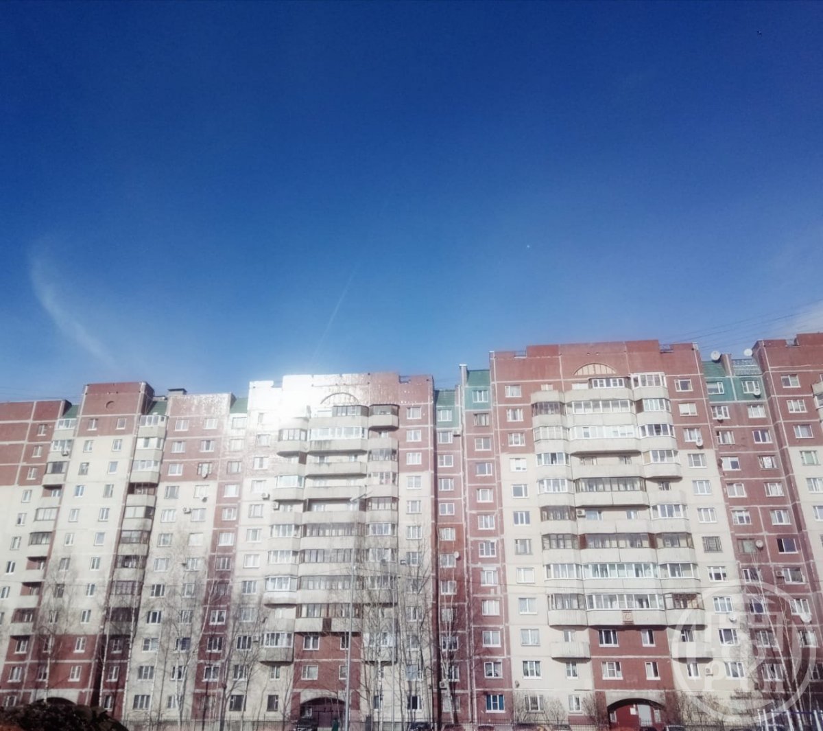 Приморский просп., д 167, корпус 3, лит. а Приморский просп., д 167, корпус 3, лит. а