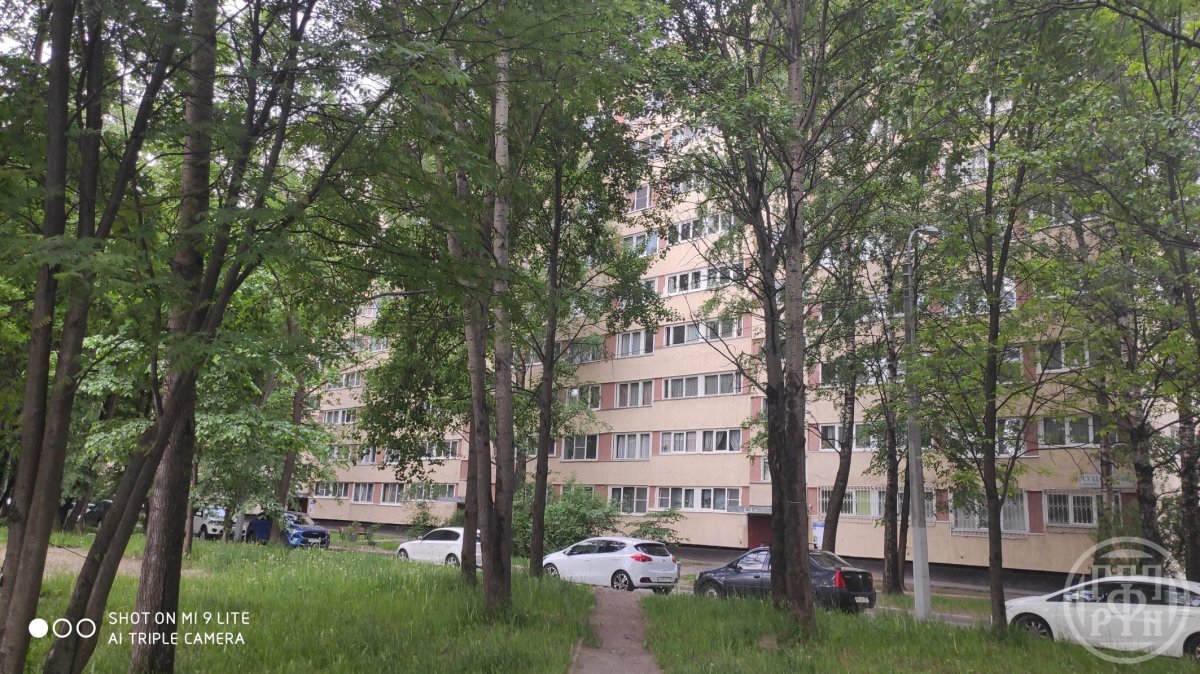 Суздальский просп., д 93, корпус 1 Суздальский просп., д 93, корпус 1