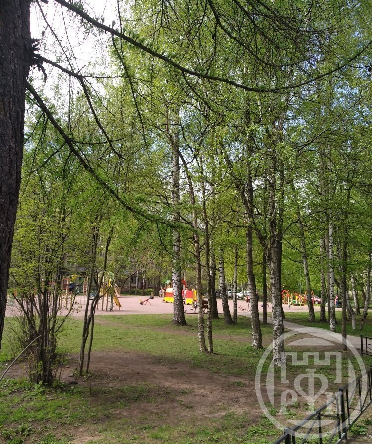 Матроса Железняка ул., д 17, лит. а Матроса Железняка ул., д 17, лит. а