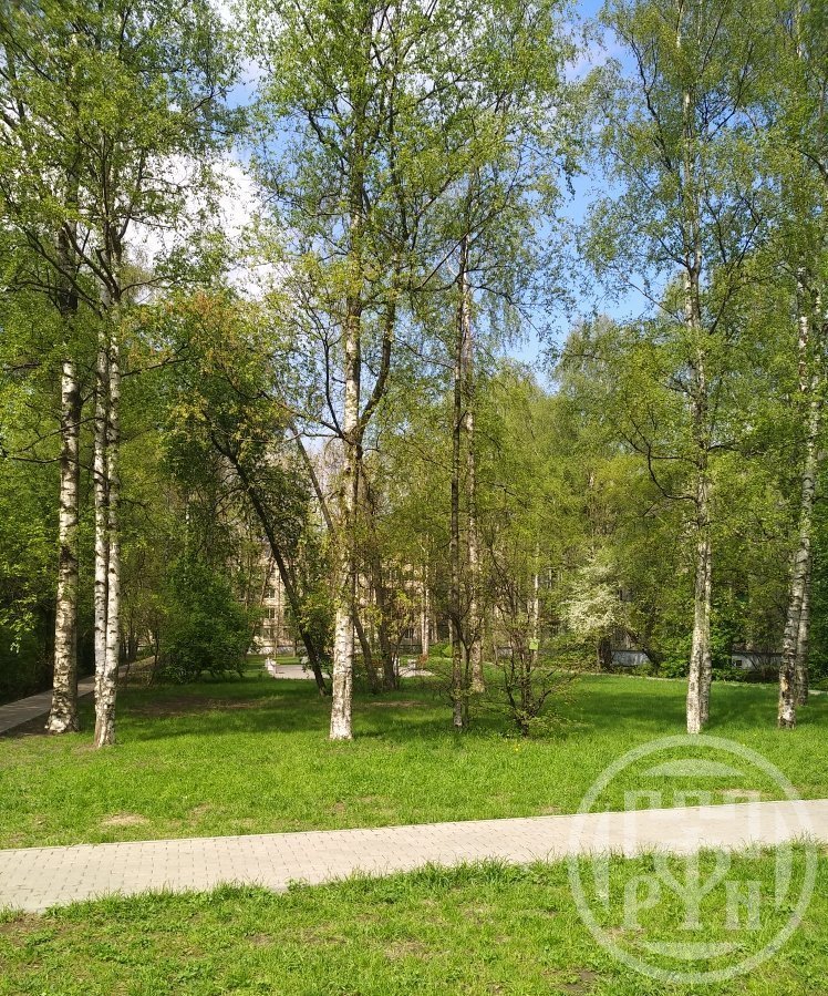 Матроса Железняка ул., д 17, лит. а Матроса Железняка ул., д 17, лит. а