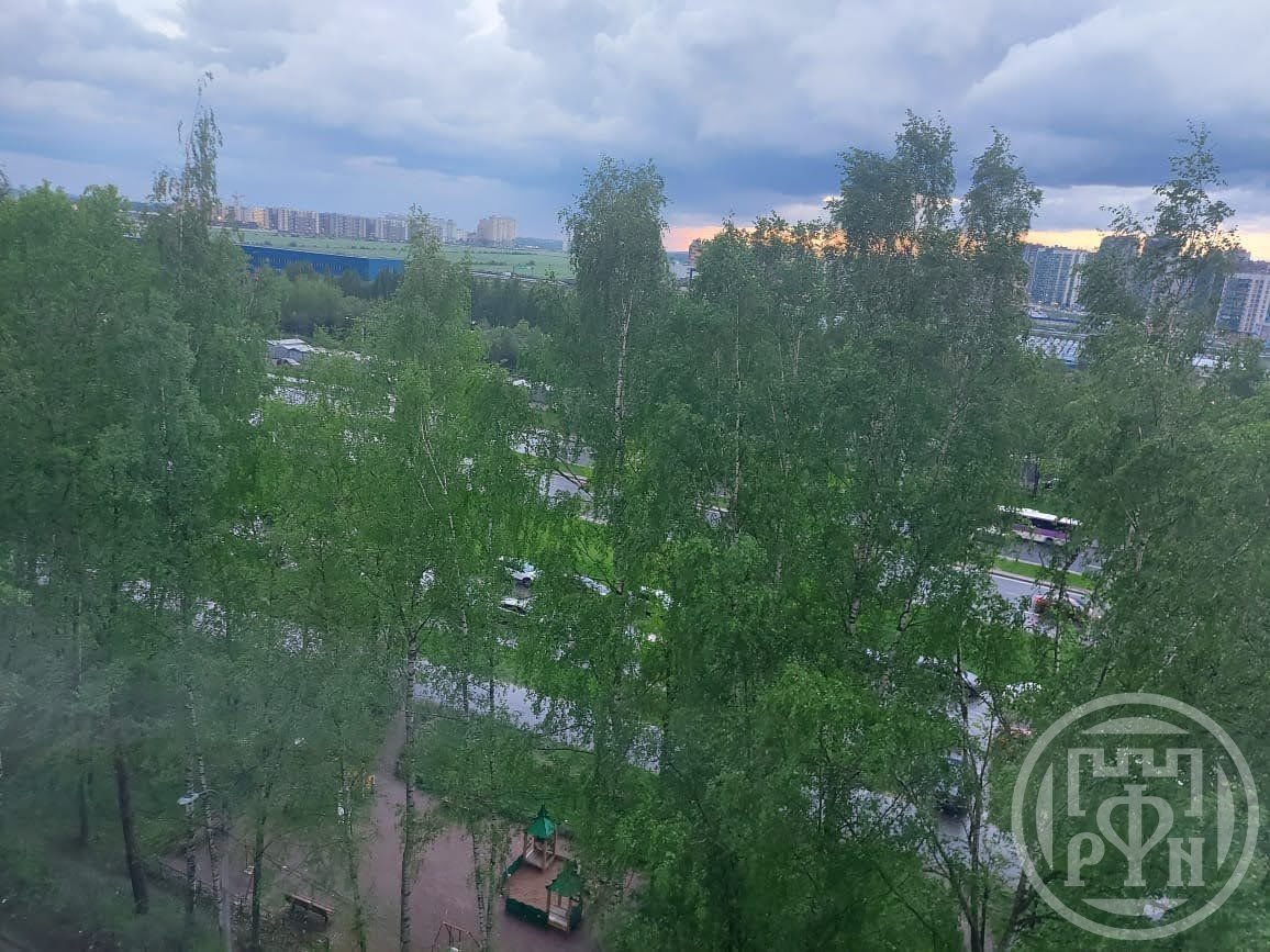 Суздальский просп., д 93, корпус 1 Суздальский просп., д 93, корпус 1