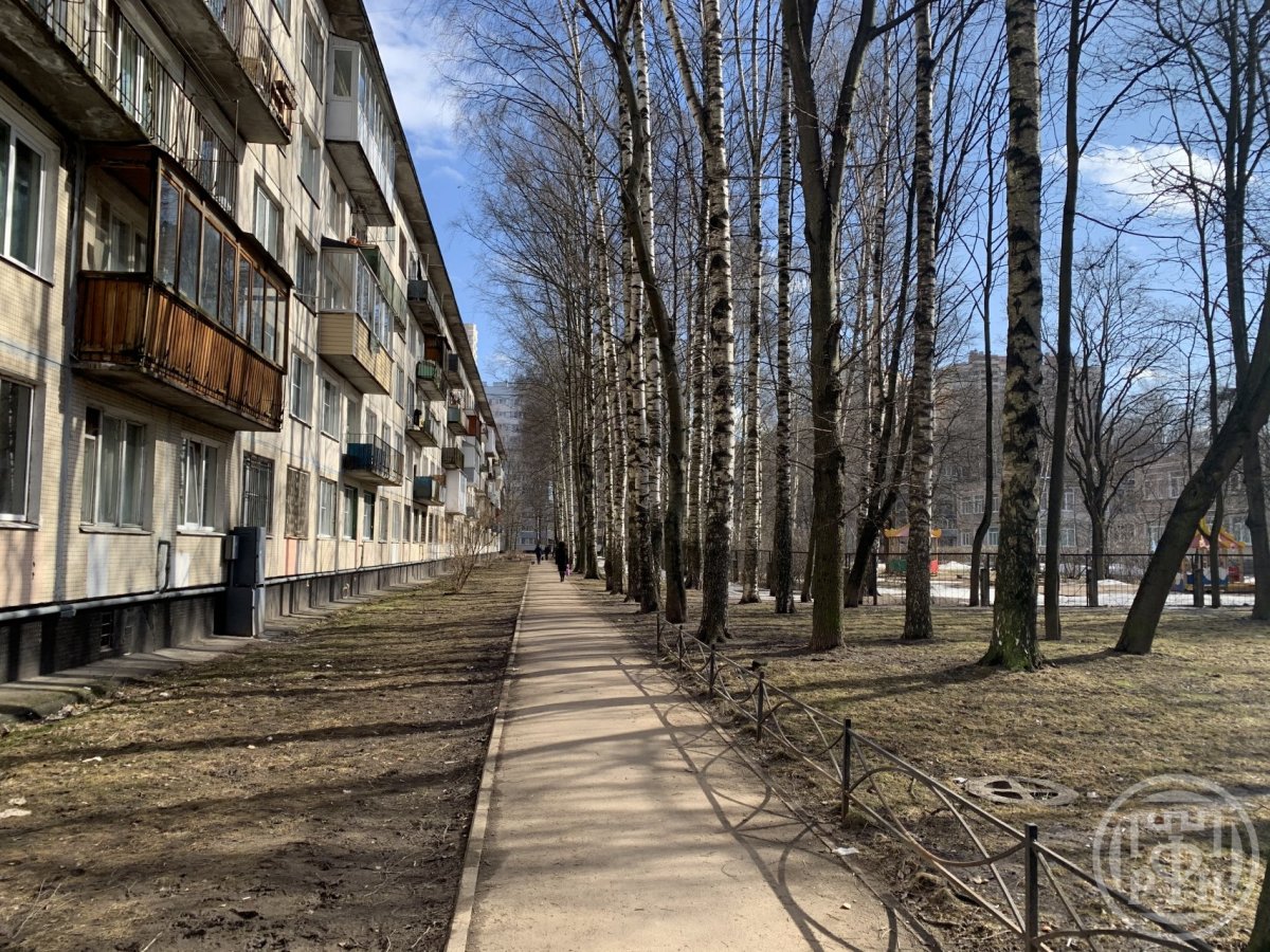 Светлановский просп., д 99, корпус 1 Светлановский просп., д 99, корпус 1