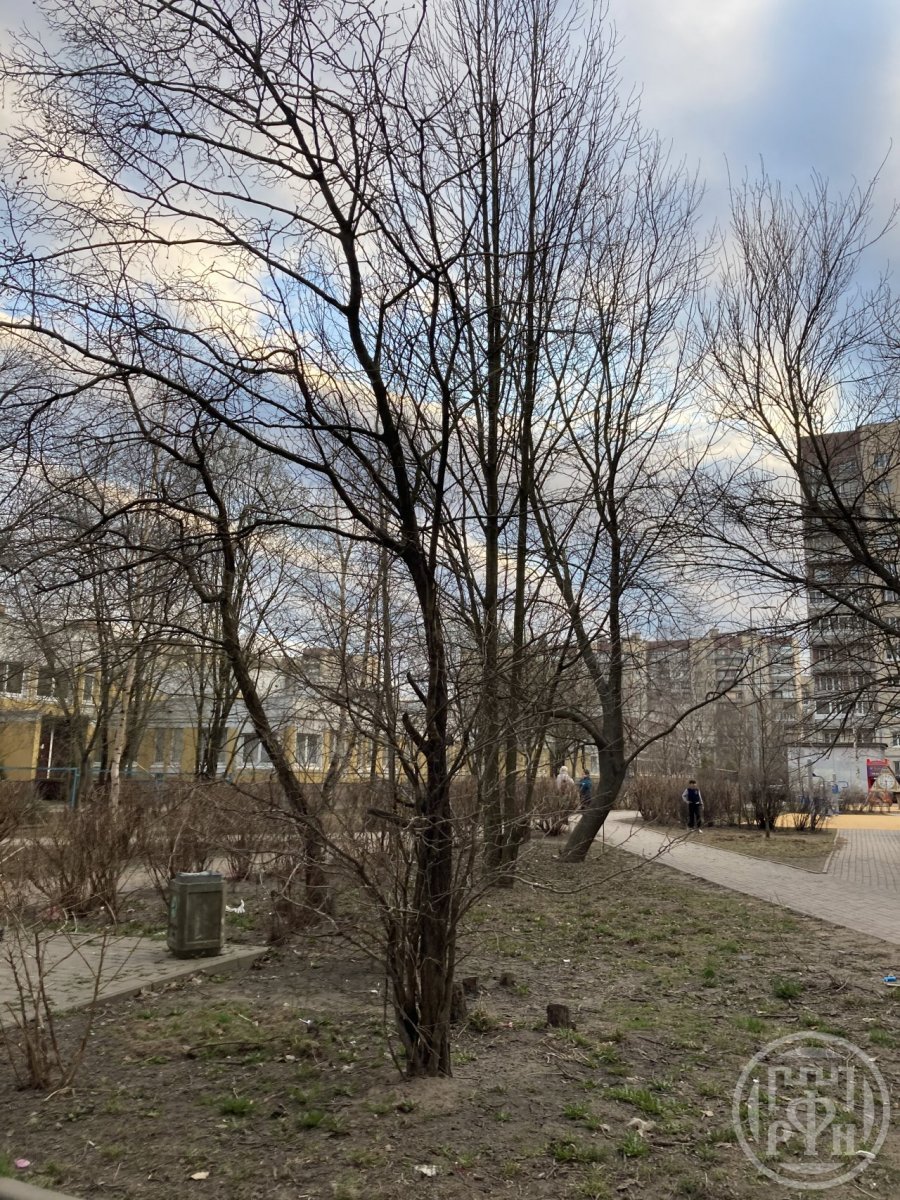 Малая Карпатская ул., д 23, корпус 1 Малая Карпатская ул., д 23, корпус 1