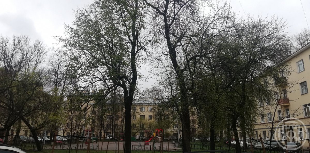 Лесной просп., д 34 Лесной просп., д 34