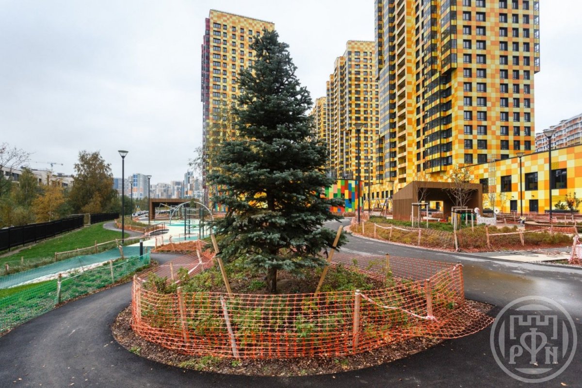 Комендантский просп., д 56 Комендантский просп., д 56