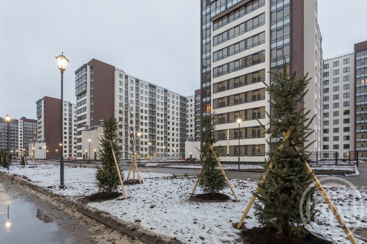 Ветеранов просп., д 175 Ветеранов просп., д 175