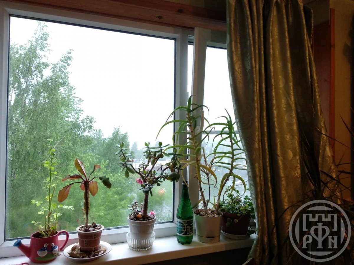 Придорожная аллея, д 31, лит. ф Придорожная аллея, д 31, лит. ф