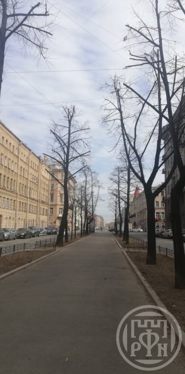 Декабристов ул., д 57 Декабристов ул., д 57