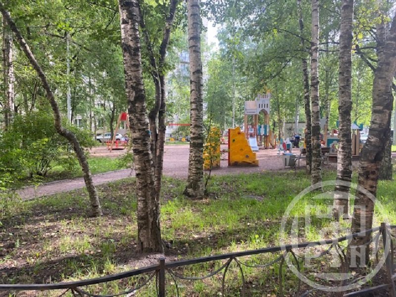 Дунайский просп., д 43, корпус 1, лит. А Дунайский просп., д 43, корпус 1, лит. А