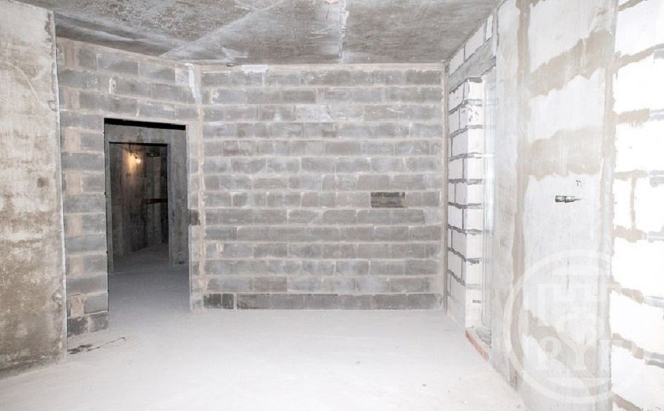 Просвещения просп., д 43 Просвещения просп., д 43