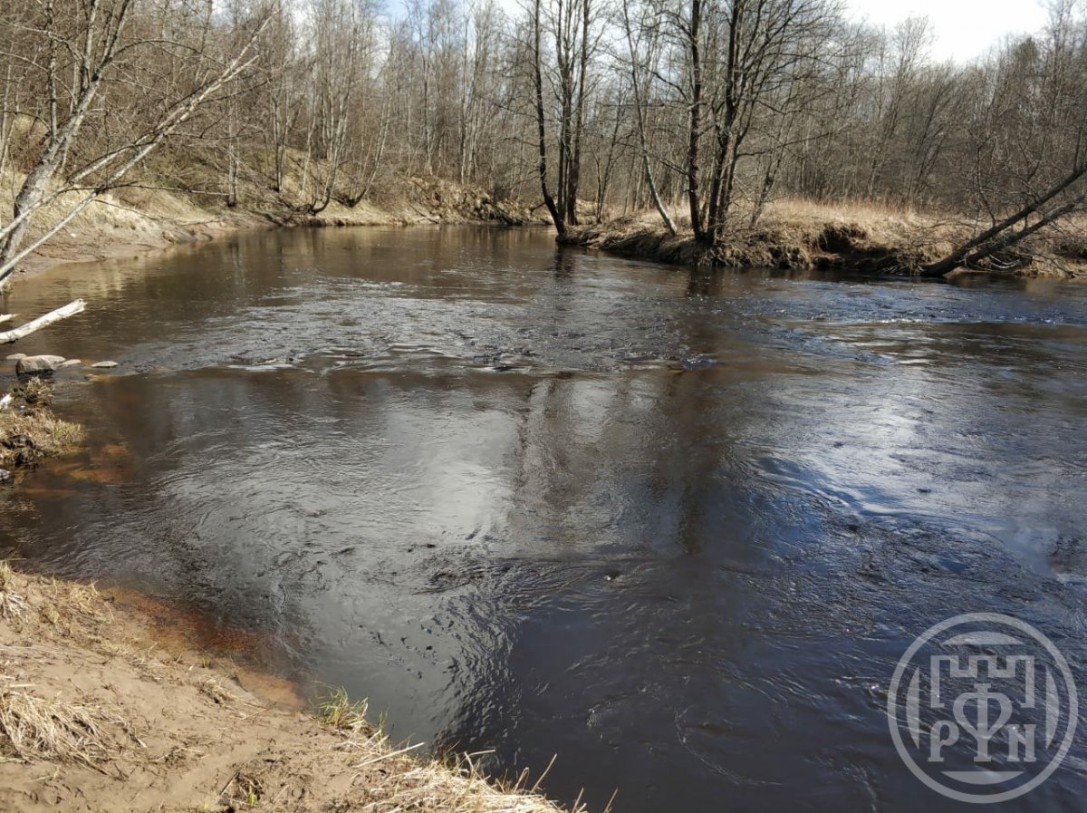 Продажа дома, 64м <sup>2</sup>, 12 сот., Денисово, Денисово пос. Продажа дома, 64м <sup>2</sup>, 12 сот., Денисово, Денисово пос.