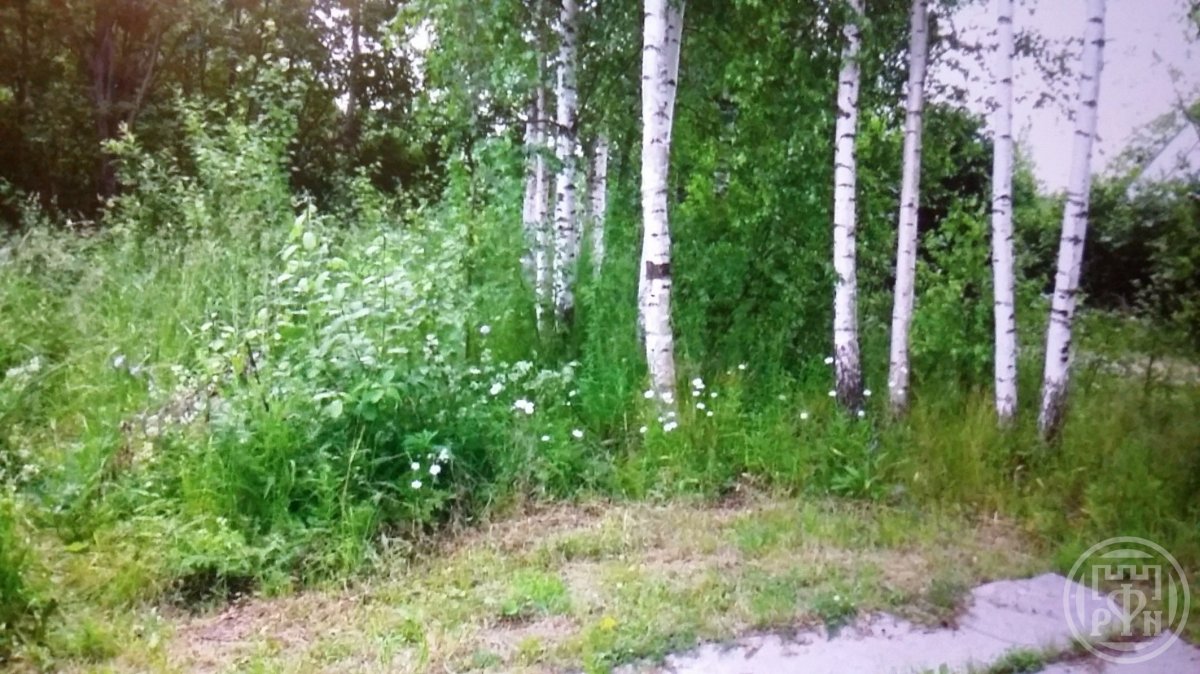 Продажа участка, Оржицы, Оржицы дер. Продажа участка, Оржицы, Оржицы дер.