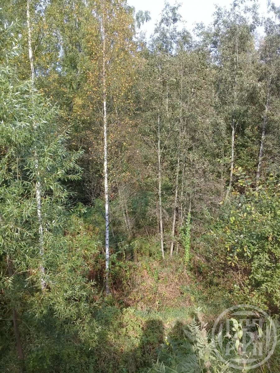 Продажа дома, 113м <sup>2</sup>, 12 сот., Песочный, Сельская ул. Продажа дома, 113м <sup>2</sup>, 12 сот., Песочный, Сельская ул.