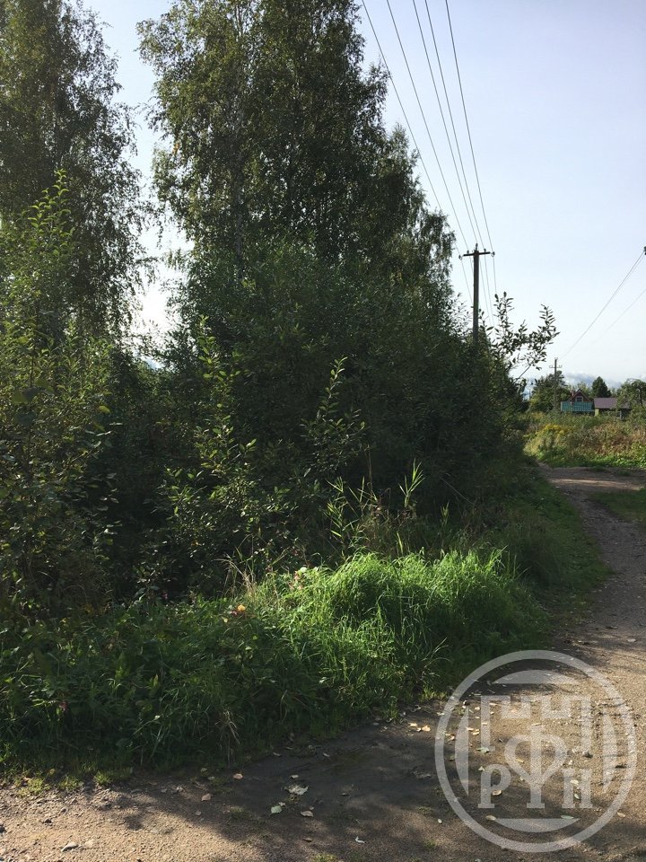 Продажа участка, Ленинградская, Борисова Грива массив, д 79 Продажа участка, Ленинградская, Борисова Грива массив, д 79