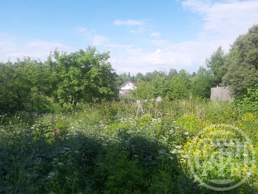 Продажа участка, Флора, Березовая ул., д 398 Продажа участка, Флора, Березовая ул., д 398