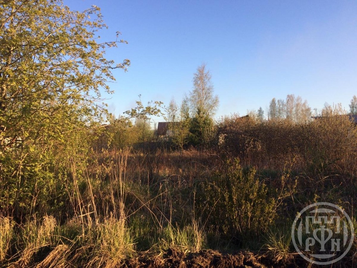 Продажа участка, Ленинградская, Рахья массив, д 306 Продажа участка, Ленинградская, Рахья массив, д 306