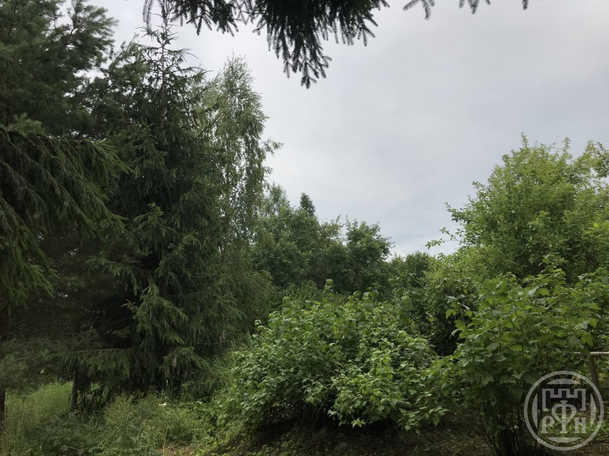 Продажа дома, 50м <sup>2</sup>, 25 сот., Онежицы, Онежицы дер., д 5 Продажа дома, 50м <sup>2</sup>, 25 сот., Онежицы, Онежицы дер., д 5
