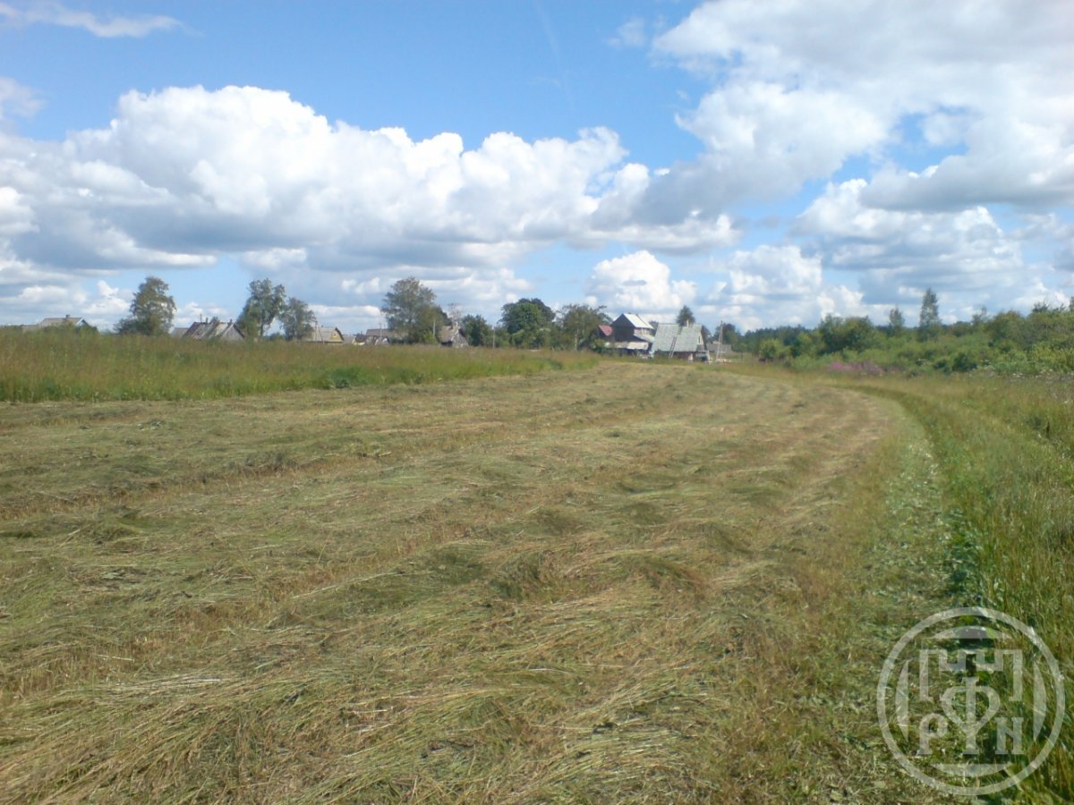 Продажа участка, Греблово, Греблово дер. Продажа участка, Греблово, Греблово дер.