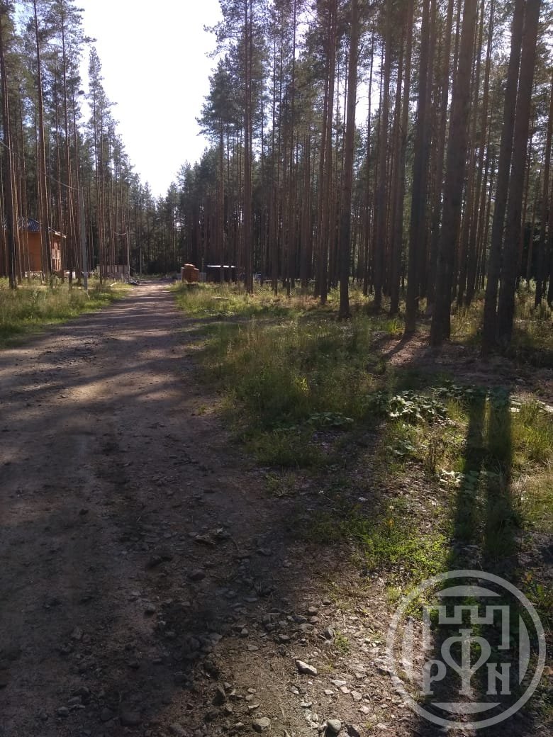 Продажа участка, Всеволожск, Камышовая ул. Продажа участка, Всеволожск, Камышовая ул.