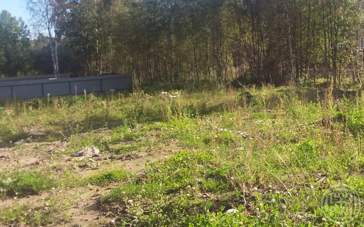 Продажа участка, Ленинградская, 26 км Приозерского шоссе массив Продажа участка, Ленинградская, 26 км Приозерского шоссе массив