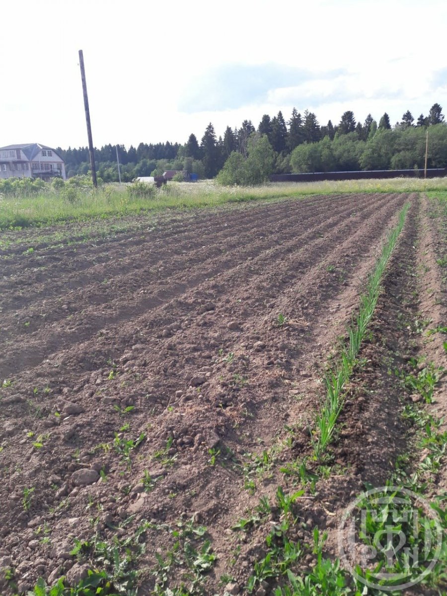 Продажа участка, Кивалицы, Кивалицы дер. Продажа участка, Кивалицы, Кивалицы дер.
