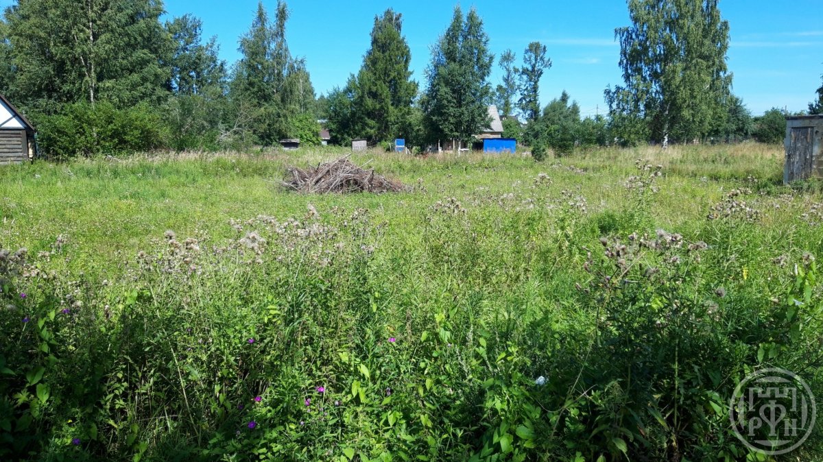 Продажа участка, Владимировка, Владимировка дер., д 1 Продажа участка, Владимировка, Владимировка дер., д 1