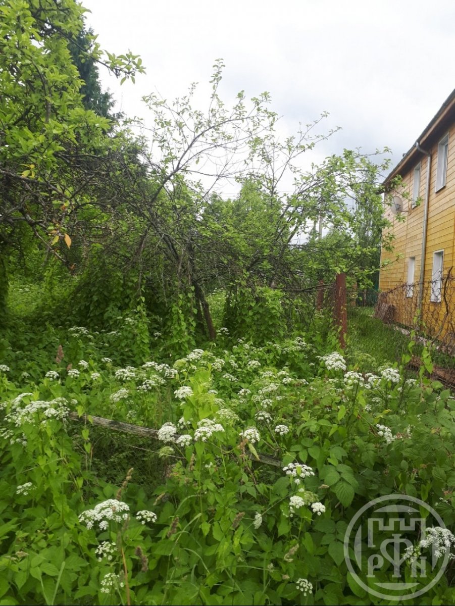 Продажа участка, Петергоф, Озерковая ул. Продажа участка, Петергоф, Озерковая ул.