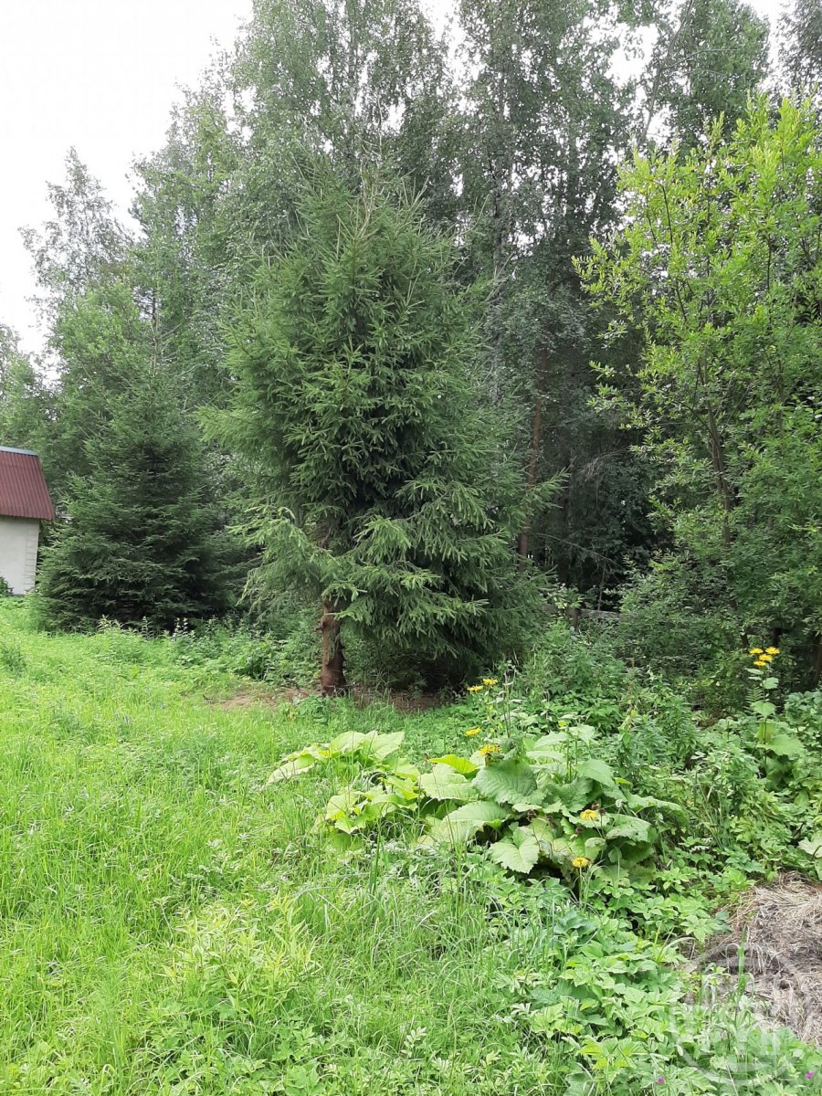 Продажа дома, 60м <sup>2</sup>, 8 сот., Ленинградская, Дружное-3 снт. Продажа дома, 60м <sup>2</sup>, 8 сот., Ленинградская, Дружное-3 снт.